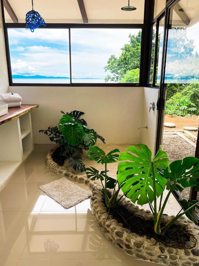 Akua Suites Ocean View Tárcoles Kültér fotó
